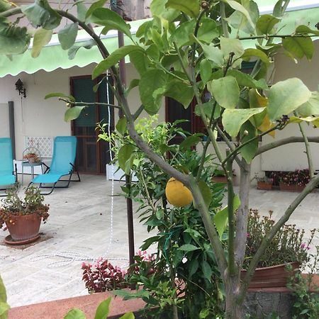 Oplontis' Garden - Holiday Apartment Near Pompeii Torre Annunziata Ngoại thất bức ảnh