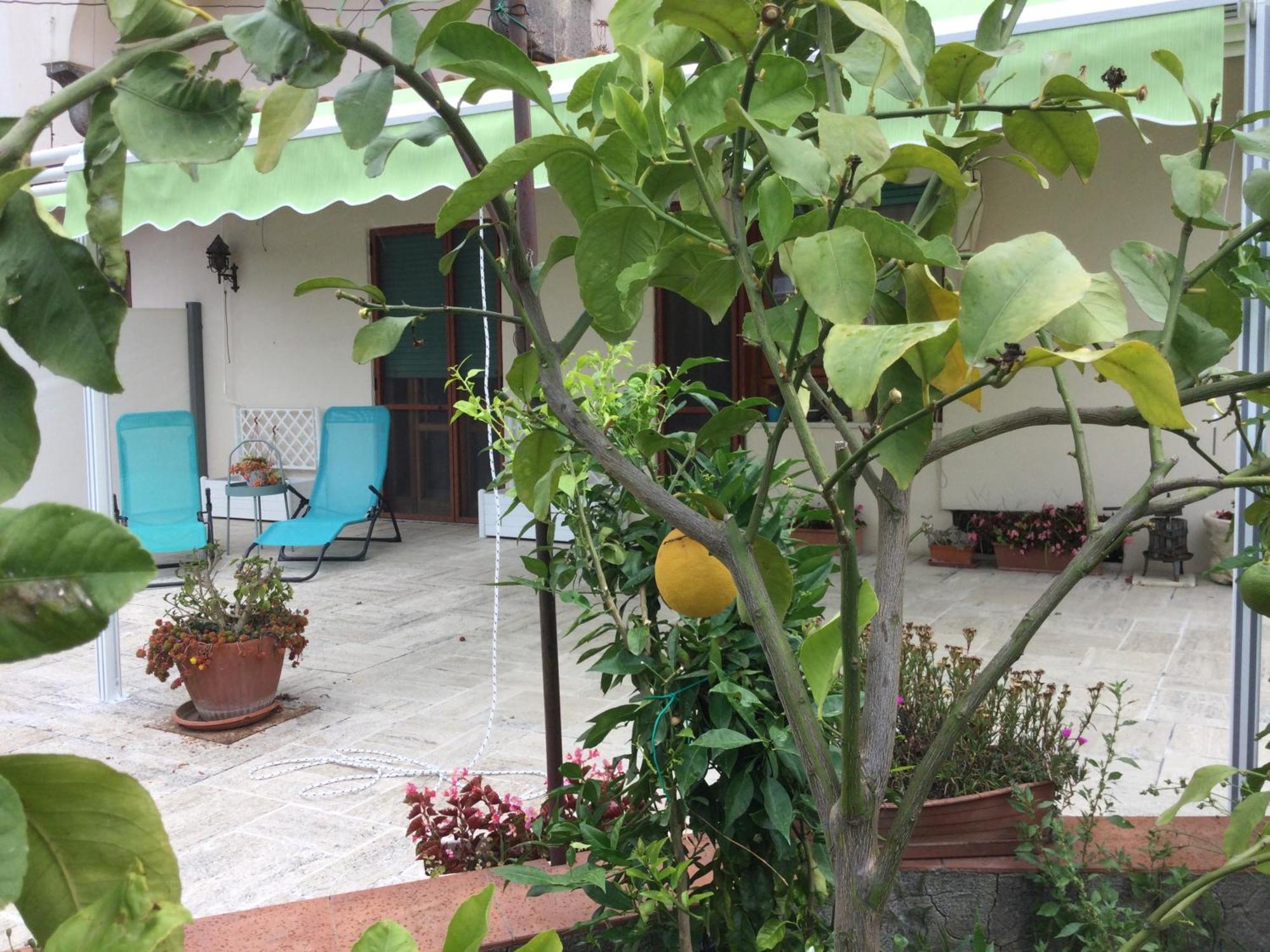 Oplontis' Garden - Holiday Apartment Near Pompeii Torre Annunziata Ngoại thất bức ảnh